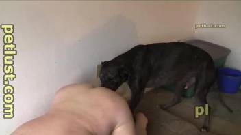 Chubby booty dude gets fucked from behind by his dog