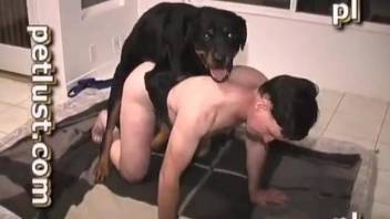 Black dog and male zoophile are banging in the doggy style pose