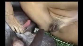 Latina with a flawless body bouncing on a dog cock