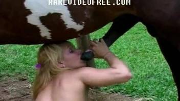 Gorgeous blondie gives a good blowjob for a spotted stallion