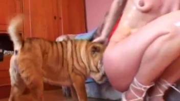 Gorgeous blondie MILF and cute hunter dog in passionate bestiality sex