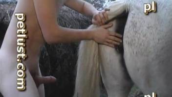 Lanky dude with a hard cock fucking a white mare