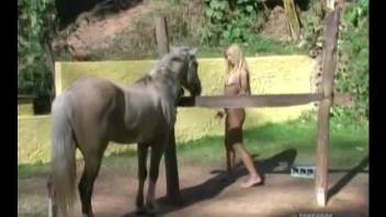 Blondie with long hairs and well-trained horse in outdoor bestiality