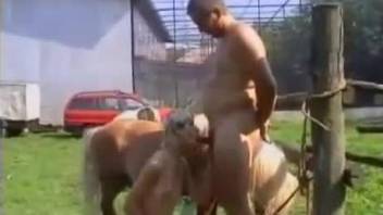 Blonde with no tits accepts the horse for a few rounds