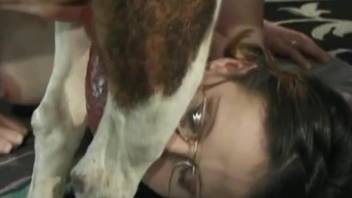 Nerdy zoophile getting throated by a red-dicked dog
