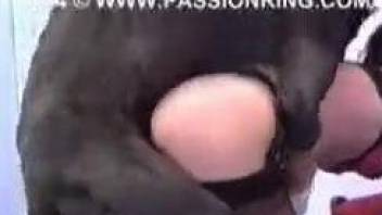 Black dog fucks a PAWG really hard from behind