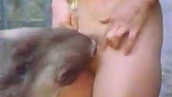 Awesome oral and vaginal bestiality sex with a white horse