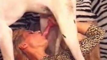 Leopard print hottie getting fucked by a dog