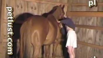 Amazingly hot brown stallion is getting anally impaled by farmer