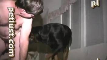 Rottie's hard cock banging a dude's tight butthole