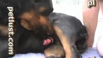 Stunning black doggy pounds a filthy guy in the mouth