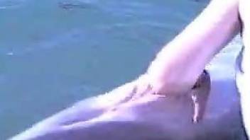 Guy finger fucks dolphin in short zoophilia outdoor scene