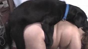 Black dog smells and bangs her shaved cunt