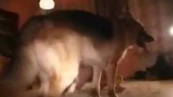 Spy cam porn video featuring a dog cock loving MILF