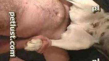 Horny dude sure needs to fuck his dog in the ass