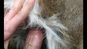 POV sex session with a hard cock and a tight hole