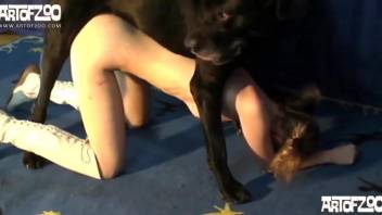 Big boobs blonde getting fucked by a dog that loves anal