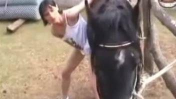 Horse with girl porn