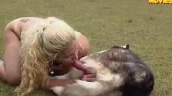 Trained Husky fucks her tight pussy right on the grass