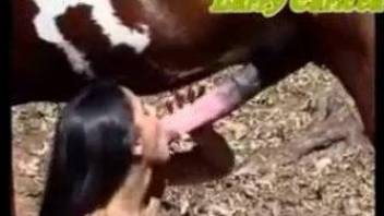 Slender Latina gets her ass fucked by a sexy stallion