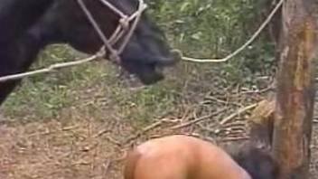 Two good-looking chicks are enjoying sex with a black pony