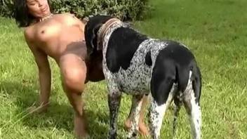 Spotted beagle gets a gorgeous blowjob by passionate brunette beauty