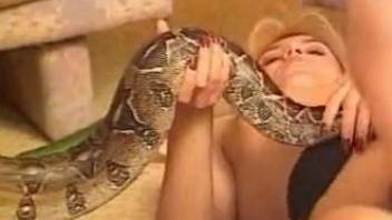 Intense snake porn zoophilia along women greedy for action