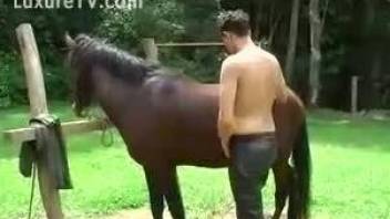 Gorgeous zoophile worships a stallion's huge cock