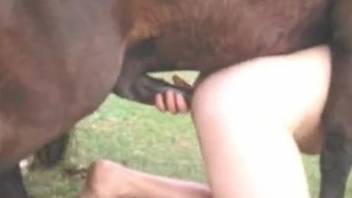 Close-up action featuring a tight a-hole and big horse cock