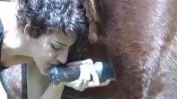 Cock sucking wife loves the feeling of horse cock in her mouth
