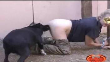 Mature bends ass to try sex with the dog