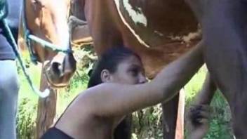 Amazing brunette is sucking stallion's cock outdoors