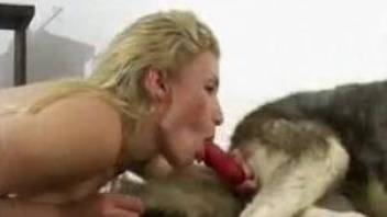 Dirty female gives blowjob on dog cock while on cam
