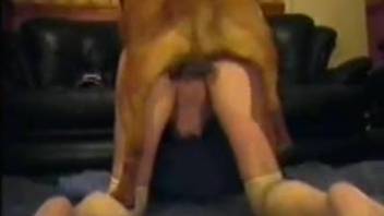 Ruff sex session with an amateur and her sexy dog