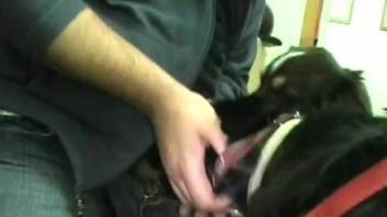 Fat dude fucking a dog's sexy throat in a free porn vid