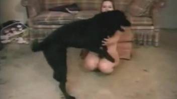 Busty girl trains her dog and gets banged