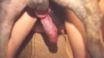 Passionate orgy with hot sluts and a kinky dog