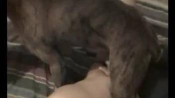 Brutal pounding with a very sexy brown animal