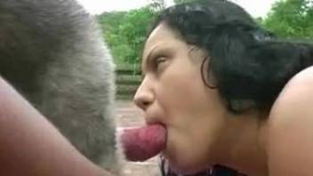 Curly black-haired babe is giving that dog a great BJ
