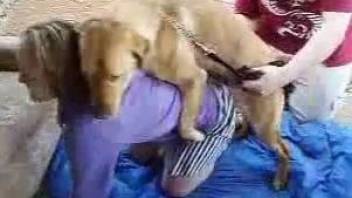 Slutty blonde gets fucked doggy style by a dog