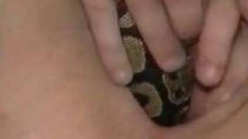 Dark-haired zoophile lets an actual snake up her pussy
