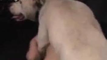 Dog humps woman from behind and it makes her reach the orgasm