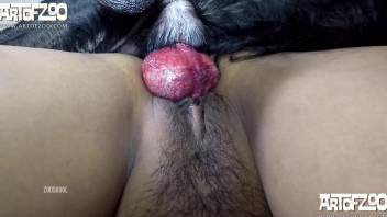 Masked babe getting fucked by her kinky black dog