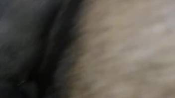 Extreme close-ups of a freshly fucked mare pussy