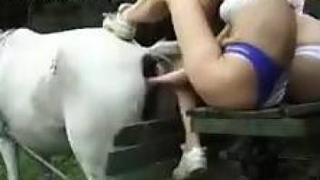 Mare's pussy gets fucked with fists and feet