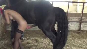 Big boobies babe getting freaky with a black beast