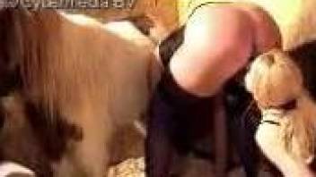 Farm animal gives these sluts an awesome bestiality treat