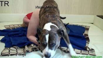 Bleeding pussy getting fucked by a really sexy dog