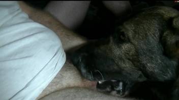 Dude with a sexy cock gets a nice blowjob from a dog
