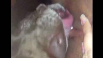 Compilation of the best zoophile fucking with oral and more